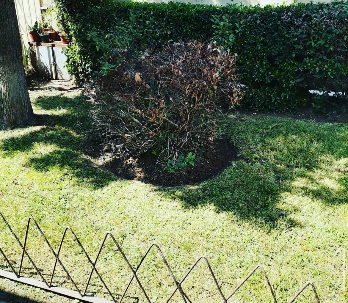 servicios de limpieza