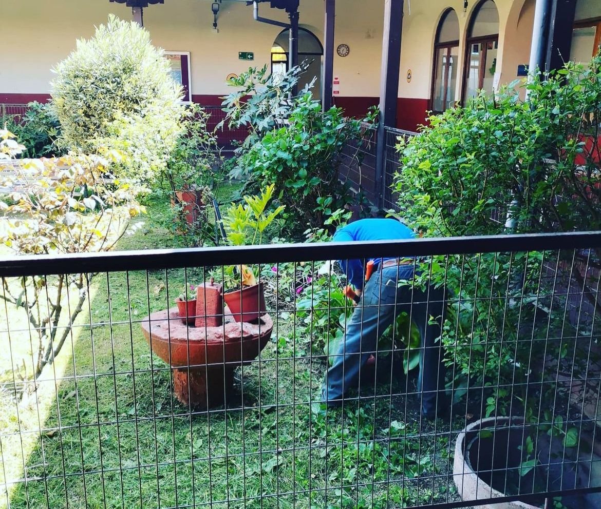 servicios de limpieza